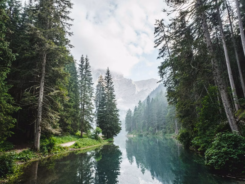 Naturaleza Verde